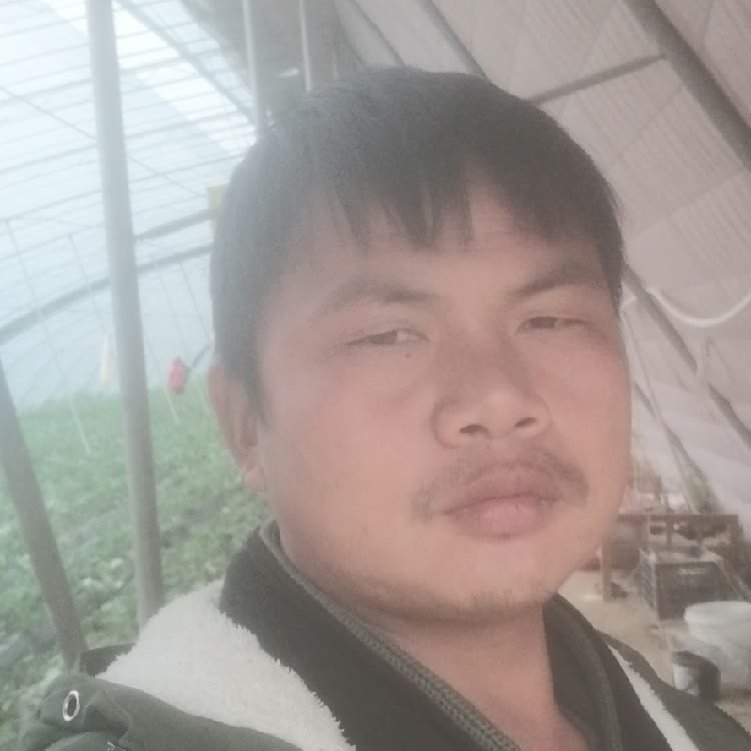 孤狼‘的第一张照片--莆田相亲服务中心