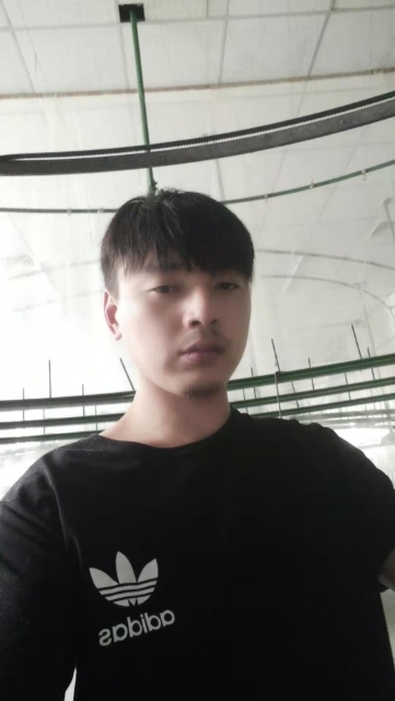 久鑫的第一张照片--莆田相亲服务中心