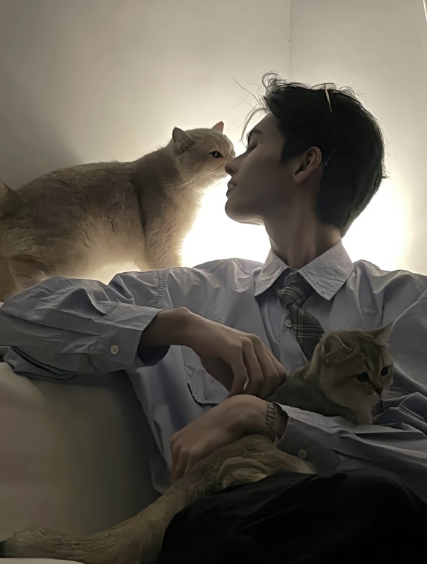 怪猫的第一张照片--莆田相亲服务中心