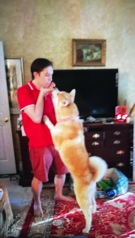 Leluch的第一张照片--莆田相亲服务中心