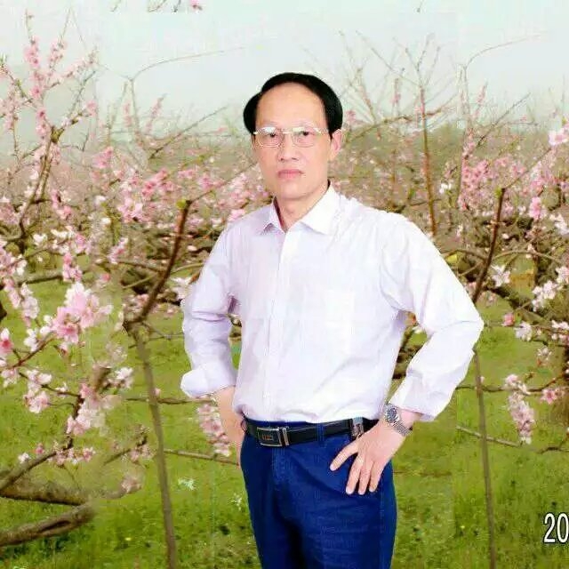 枫叶的第一张照片--莆田相亲服务中心